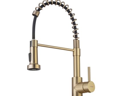 WEWE Brushed Gold Kitchen Faucet with Pull Down Sprayer, RV Brass Kitchen Faucet Stainless Steel Single Handle Spring Faucet with Deck Plate for Farmhouse Utility bar Laundry Sinks Discount