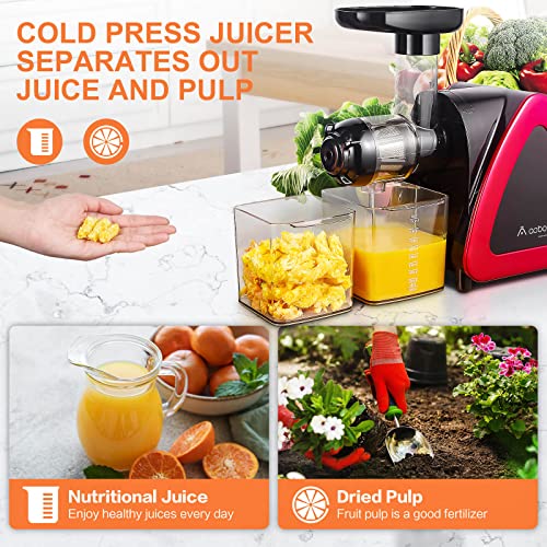 Slow Juicer, Aobosi Slow Masticating Juicer, Cold Press Juicer Machines with Reverse Function, Quiet Motor, High Juice Yield with Juice Jug & Brush for Cleaning Online Hot Sale