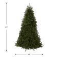 National Tree Company Artificial Full Christmas Tree, Green, Dunhill Fir, Includes Stand, 6 Feet Hot on Sale