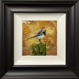 Little Master Wagtail Original by Sarah Louise Ewing Fashion